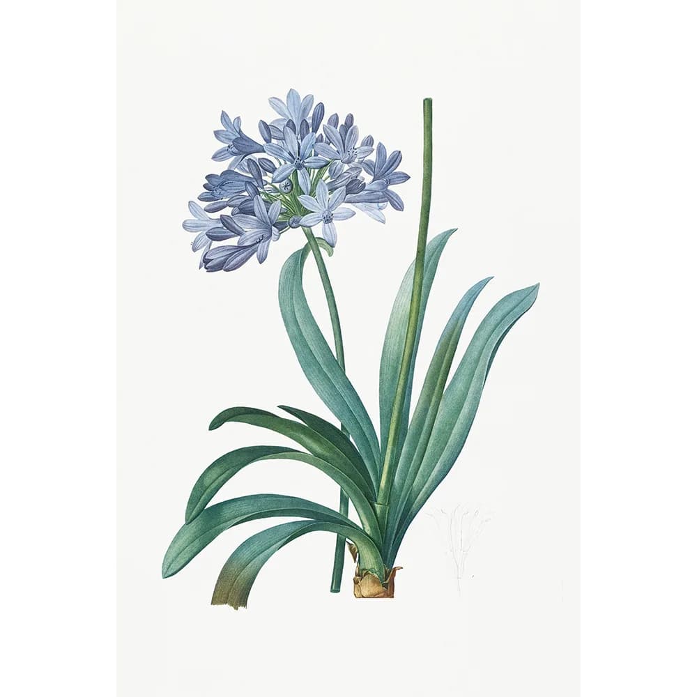 Floral Botânico Violeta II