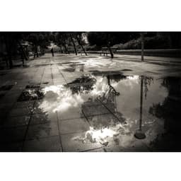 Reflect