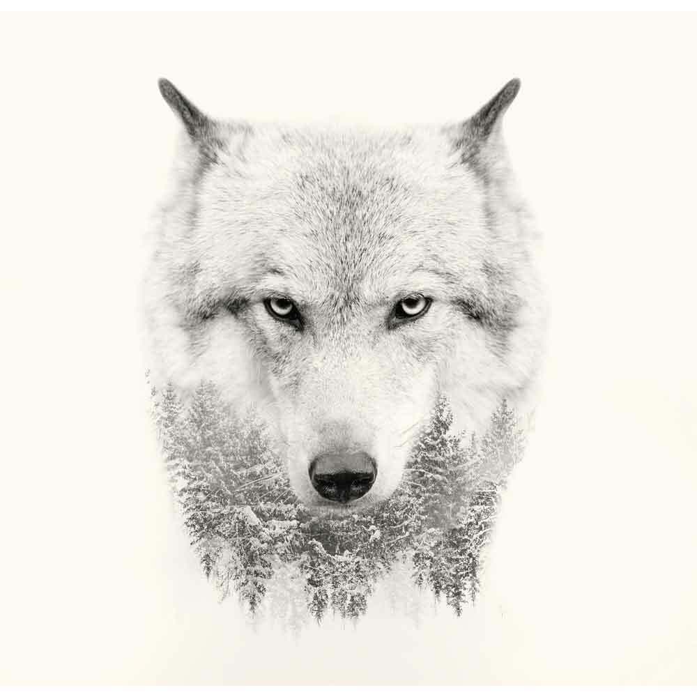 Lobo