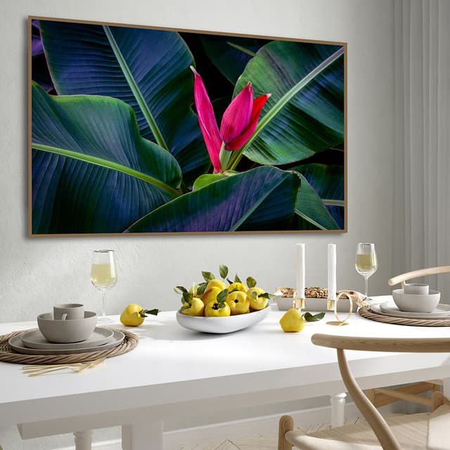 Flor-da-Bananeira