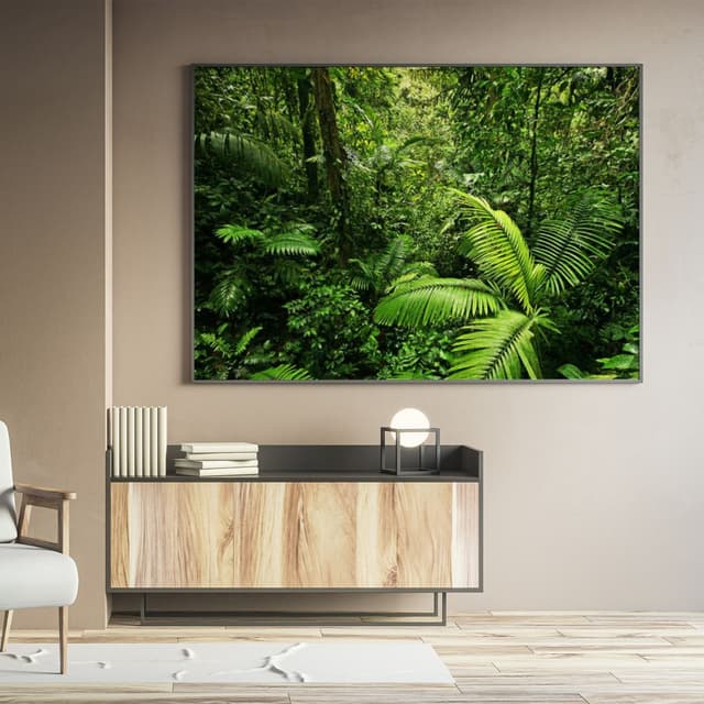 Floresta-Costa-Rica