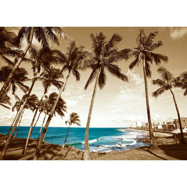 Praia da Barra, Salvador