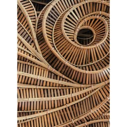 Bambu II