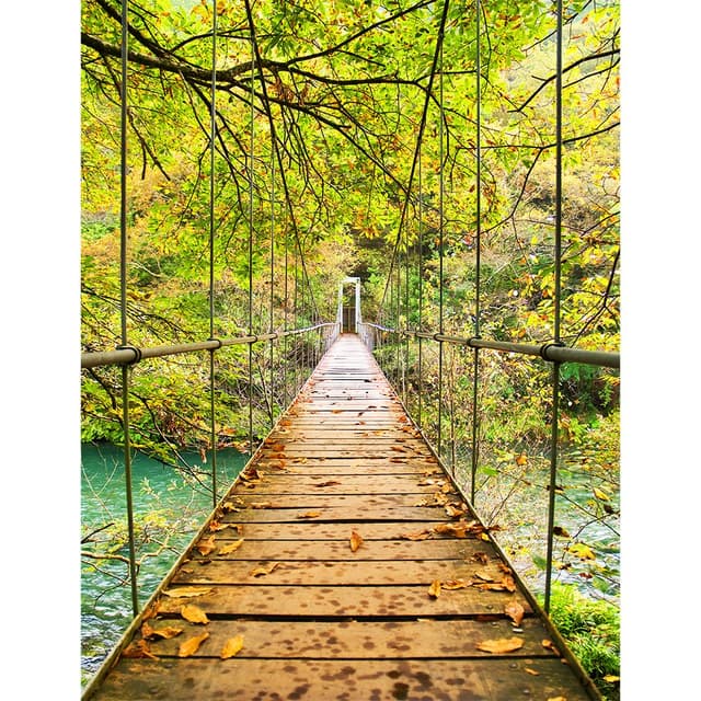 Ponte e Floresta II