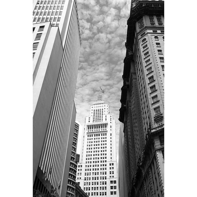 Coleção São Paulo