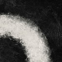 Coleção Abstrato Curvas