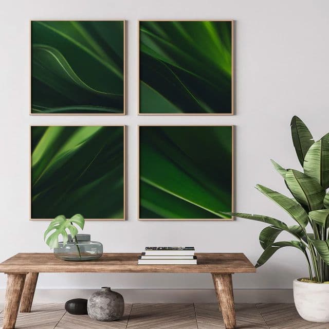 Coleção Folhas Verdes Escuras II